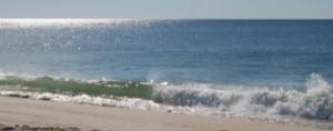 beach waves for gaynor